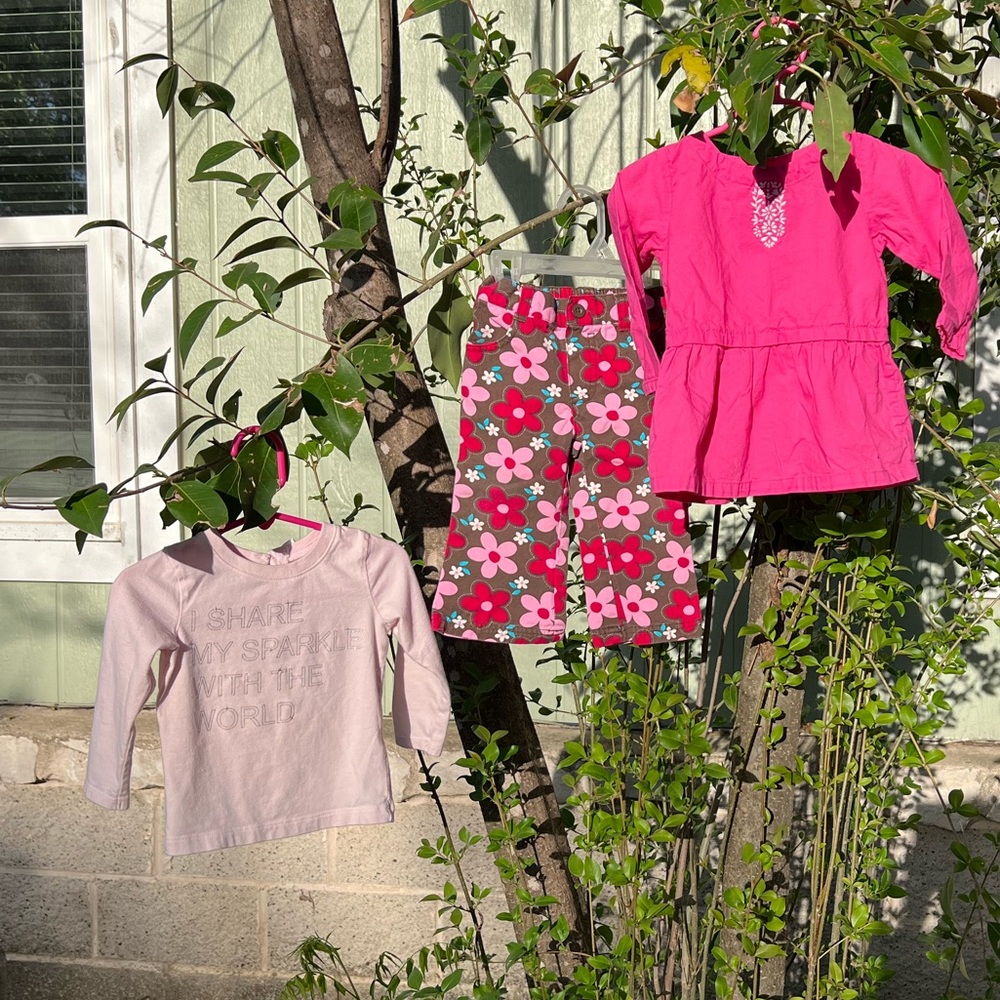 Carter’s 3 Piece Girls Outfit